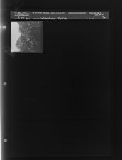 Wrecked cars (1 Negative (August 24, 1960) [Sleeve 70, Folder d, Box 24]