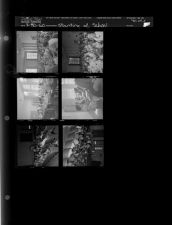 Starting of school (6 Negatives (August 30, 1960) [Sleeve 88, Folder d, Box 24]