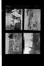 Men in an Office; Boy Scouts (4 Negatives) 1950s, undated [Sleeve 38, Folder b, Box 22]