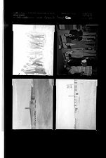 Sleeve 50, Folder b, Box 22