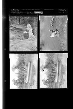 Sleeve 8, Folder c, Box 22