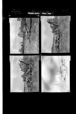 Grimesland Tornado Damage (4 Negatives) 1950s, undated [Sleeve 17, Folder c, Box 22]