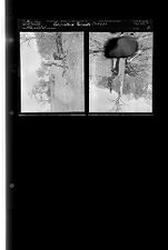 Grimesland Tornado Damage (2 Negatives) 1950s, undated [Sleeve 18, Folder c, Box 22]