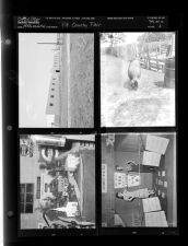 Pitt County Fair (4 Negatives) 1950s, undated [Sleeve 3, Folder a, Box 21]