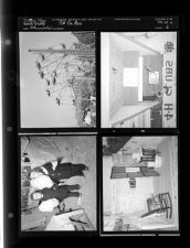 Pitt County Fair (4 Negatives) 1950s, undated [Sleeve 6, Folder a, Box 21]
