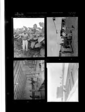 Farm Edition (4 Negatives) 1950s, undated [Sleeve 45, Folder a, Box 21]