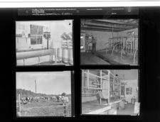 Farm Edition (4 Negatives) 1950s, undated [Sleeve 50, Folder a, Box 21]