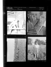 Farming; Women Sewing (4 Negatives) 1950s, undated [Sleeve 66, Folder a, Box 21]