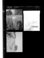 Farming (4 Negatives) 1950s, undated [Sleeve 71, Folder a, Box 21]