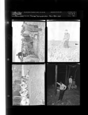 Farming (3 Negatives) 1950s, undated [Sleeve 72, Folder a, Box 21]