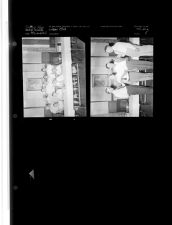 Lion's Club (2 Negatives) 1950s, undated [Sleeve 5, Folder g, Box 21]