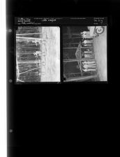Little League (2 Negatives) 1950s, undated [Sleeve 9, Folder g, Box 21]