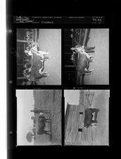 Livestock (4 Negatives) 1950s, undated [Sleeve 11, Folder g, Box 21]