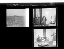 Farmer in Grimesland (3 Negatives), 1950s, undated [Sleeve 7, Folder i, Box 21]