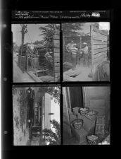 Power Plant Improvements; Poultry Farm (4 Negatives) 1950s, undated [Sleeve 50, Folder k, Box 21]