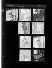 Pig sale (9 Negatives (June 18, 1959) [Sleeve 30, Folder b, Box 18]