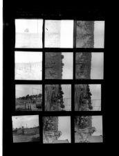 Man in tobacco field (12 Negatives (June 30, 1959) [Sleeve 56, Folder b, Box 18]