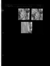 Greenville working on 1st Street (3 Negatives) July 8-9, 1959 [Sleeve 15, Folder c, Box 18]