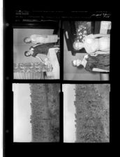 New Woman's Club hostess honored at opening; Stripped tobacco field (2 Negatives (August 7, 1959) [Sleeve 11, Folder d, Box 18]