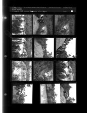 Drowning of a person (12 Negatives)  (August 22, 1959) [Sleeve 51, Folder d, Box 18]