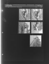 Wrecked car (5 Negatives (September 9, 1959) [Sleeve 21, Folder e, Box 18]