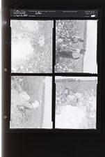 Sleeve 55, Folder e, Box 18