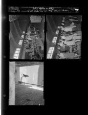 Alley feature; High School Glee Club (3 Negatives (January 10, 1959) [Sleeve 19, Folder a, Box 17]