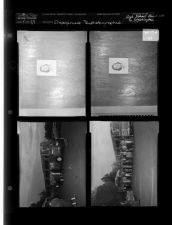 Engagement re-photograph (4 Negatives (April 11, 1959) [Sleeve 47, Folder d, Box 17]