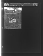 Man found dead (1 Negative (April 14, 1959) [Sleeve 58, Folder d, Box 17]