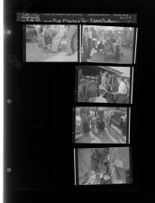 Pigs Marked for identification (5 Negatives (April 18, 1959) [Sleeve 11, Folder e, Box 17]