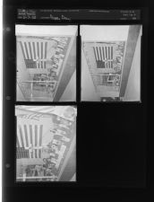 Poppy Day (3 Negatives (November 7, 1958) [Sleeve 26, Folder c, Box 16]