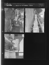 Garalie and Leaf Collection-Feature (3 Negatives (November 29, 1958) [Sleeve 54, Folder c, Box 16]