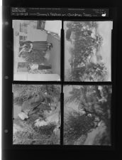 Christmas tree feature (4 Negatives (December 20, 1958) [Sleeve 49, Folder d, Box 16]