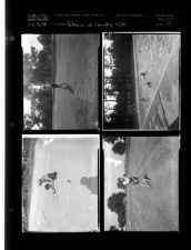 Sleeve 17, Folder c, Box 15