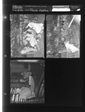 Florist meeting; Pitt County Records (3 Negatives) (June 28, 1958) [Sleeve 50, Folder c, Box 15]