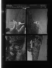 Pollinating flowers (4 Negatives) (July 25, 1958) [Sleeve 48, Folder d, Box 15]