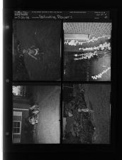 Pollinating flowers (4 Negatives) (July 25, 1958) [Sleeve 49, Folder d, Box 15]