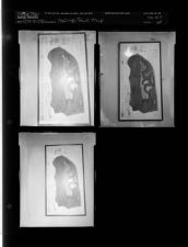 Map of Springs park (3 Negatives), March 25-26, 1958 [Sleeve 64, Folder c, Box 14]