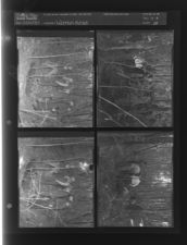 Woman killed and buried in shallow grave (4 Negatives) (November 14, 1957) [Sleeve 28, Folder b, Box 13]