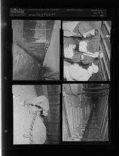 Egg feature (4 Negatives) (November 21, 1957) [Sleeve 49, Folder b, Box 13]