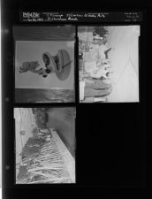 Christmas parade; Microscope; Dogs at Overton's birthday party (3 Negatives) (November 30, 1957) [Sleeve 75, Folder b, Box 13]