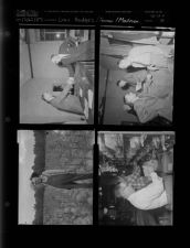 Governor Hodges with other men; Farmer; Mailmen (4 Negatives) (December 27, 1957) [Sleeve 30, Folder d, Box 13]