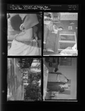 Flu shot being administered; Barbara Pope sitting on couch reading book; Little League players; Two men talking (4 Negatives) (December 27, 1957) [Sleeve 31, Folder d, Box 13]