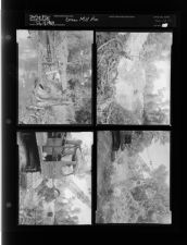 Green Mill run (4 Negatives) (July 11, 1957) [Sleeve 20, Folder c, Box 12]