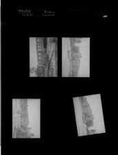 Building construction (4 Negatives) (July 16, 1957) [Sleeve 27, Folder c, Box 12]