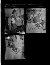 Suidide (3 Negatives) (September 28, 1956) [Sleeve 13, Folder b, Box 11]