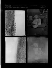 Community chest photos (4 Negatives) (September 29, 1956) [Sleeve 16, Folder b, Box 11]