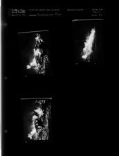 Pack house fire (3 Negatives) (October 16, 1956) [Sleeve 17, Folder c, Box 11]