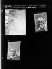 Car wreck; Teachers honored (3 Negatives) (November 16, 1956) [Sleeve 15, Folder d, Box 11]