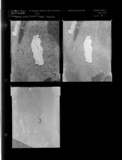 Traffic Fatality (3 Negatives) (November 19, 1956) [Sleeve 18, Folder d, Box 11]